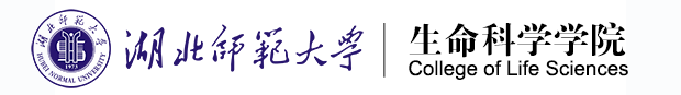 awc77万象城官网